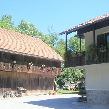 Guest House Kmetija Dane Exteriér fotografie