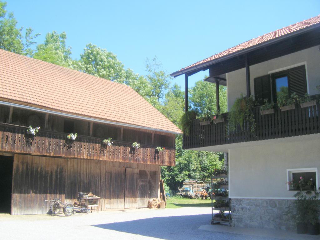 Guest House Kmetija Dane Exteriér fotografie